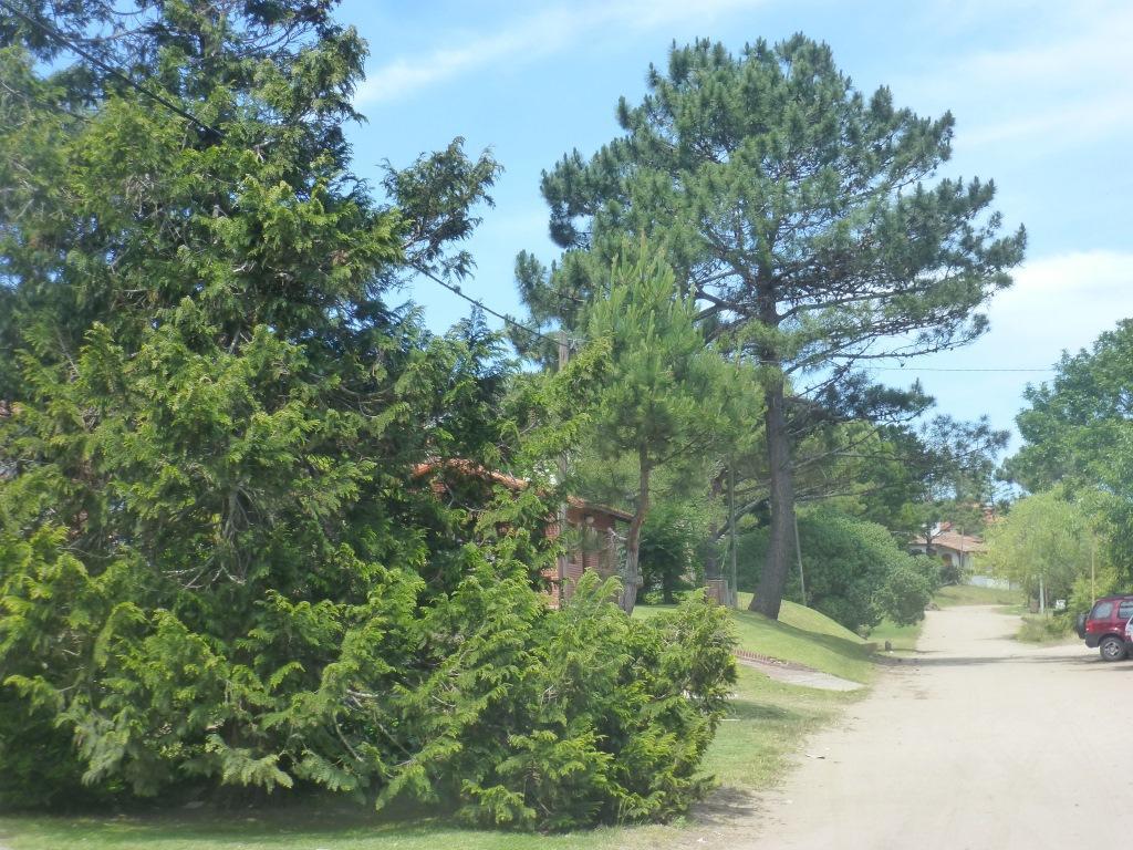 Casas De Pinamar Βίλα Εξωτερικό φωτογραφία